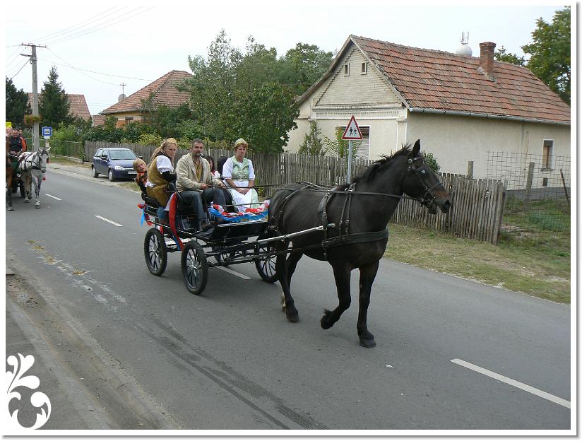 Szuret Felv es Bal_068